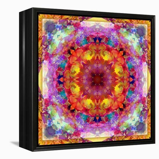 A Mandala from Flower Photographs-Alaya Gadeh-Framed Premier Image Canvas