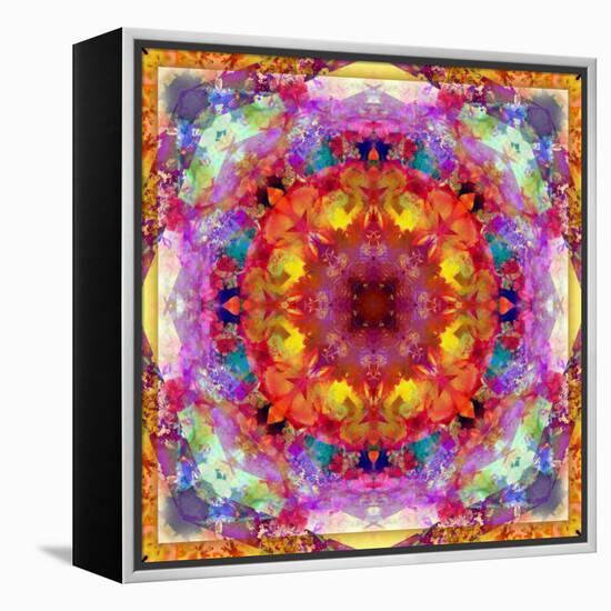 A Mandala from Flower Photographs-Alaya Gadeh-Framed Premier Image Canvas