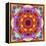 A Mandala from Flower Photographs-Alaya Gadeh-Framed Premier Image Canvas