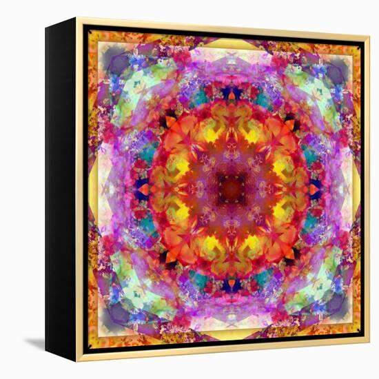 A Mandala from Flower Photographs-Alaya Gadeh-Framed Premier Image Canvas