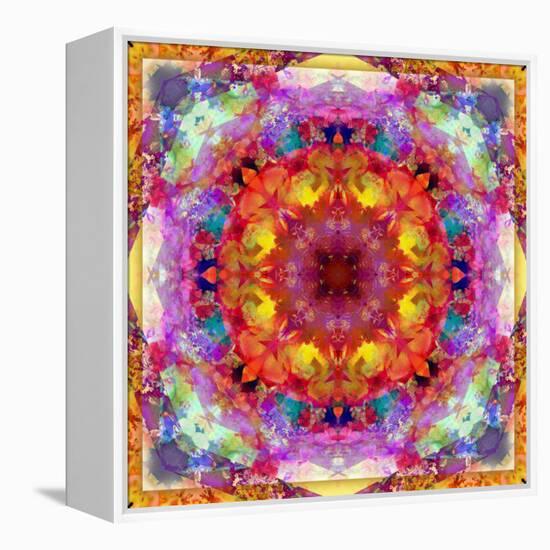 A Mandala from Flower Photographs-Alaya Gadeh-Framed Premier Image Canvas