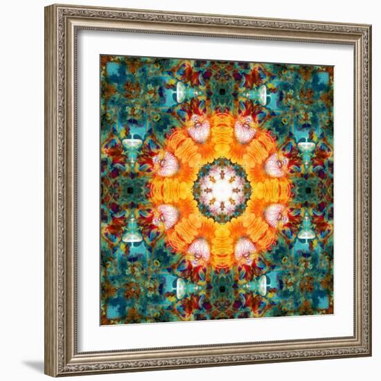 A Mandala from Flower Photographs-Alaya Gadeh-Framed Photographic Print