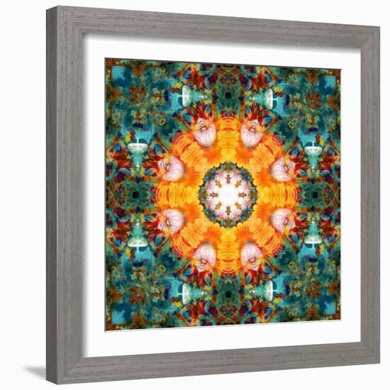 A Mandala from Flower Photographs-Alaya Gadeh-Framed Photographic Print