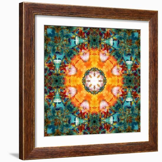 A Mandala from Flower Photographs-Alaya Gadeh-Framed Photographic Print