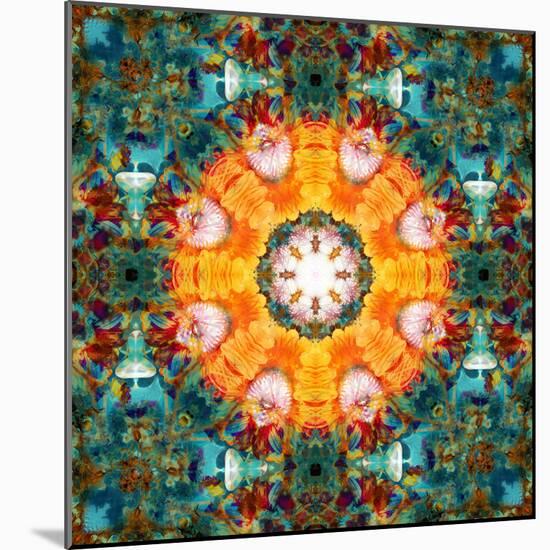 A Mandala from Flower Photographs-Alaya Gadeh-Mounted Photographic Print