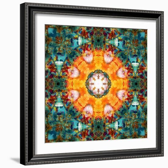 A Mandala from Flower Photographs-Alaya Gadeh-Framed Photographic Print