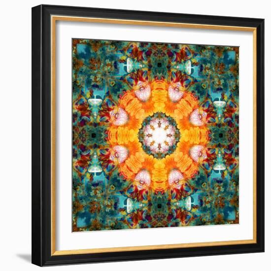 A Mandala from Flower Photographs-Alaya Gadeh-Framed Photographic Print