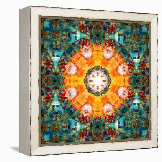 A Mandala from Flower Photographs-Alaya Gadeh-Framed Premier Image Canvas