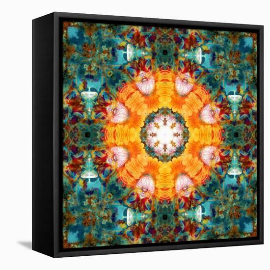 A Mandala from Flower Photographs-Alaya Gadeh-Framed Premier Image Canvas