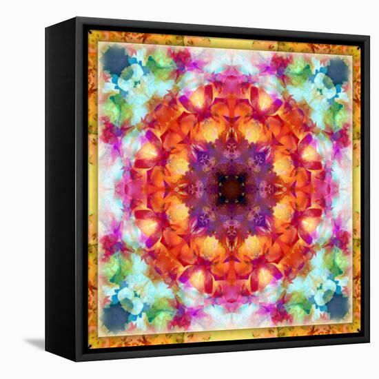 A Mandala from Flower Photographs-Alaya Gadeh-Framed Premier Image Canvas