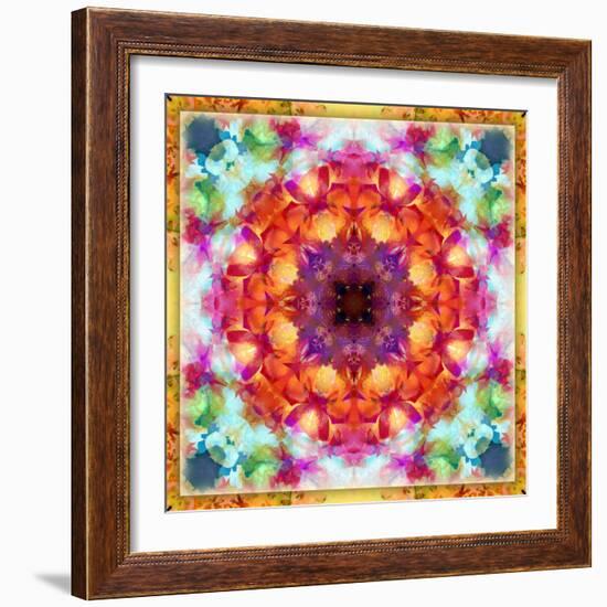 A Mandala from Flower Photographs-Alaya Gadeh-Framed Photographic Print