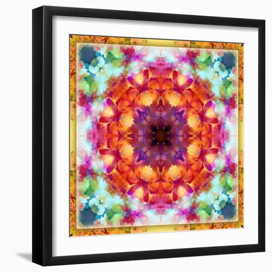 A Mandala from Flower Photographs-Alaya Gadeh-Framed Photographic Print