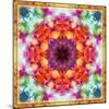 A Mandala from Flower Photographs-Alaya Gadeh-Mounted Photographic Print