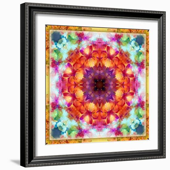 A Mandala from Flower Photographs-Alaya Gadeh-Framed Photographic Print