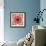 A Mandala from Flower Photographs-Alaya Gadeh-Framed Photographic Print displayed on a wall