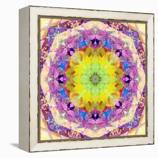 A Mandala from Flower Photographs-Alaya Gadeh-Framed Premier Image Canvas