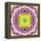 A Mandala from Flower Photographs-Alaya Gadeh-Framed Premier Image Canvas