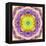 A Mandala from Flower Photographs-Alaya Gadeh-Framed Premier Image Canvas