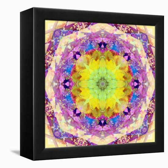 A Mandala from Flower Photographs-Alaya Gadeh-Framed Premier Image Canvas