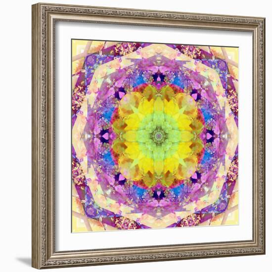 A Mandala from Flower Photographs-Alaya Gadeh-Framed Photographic Print