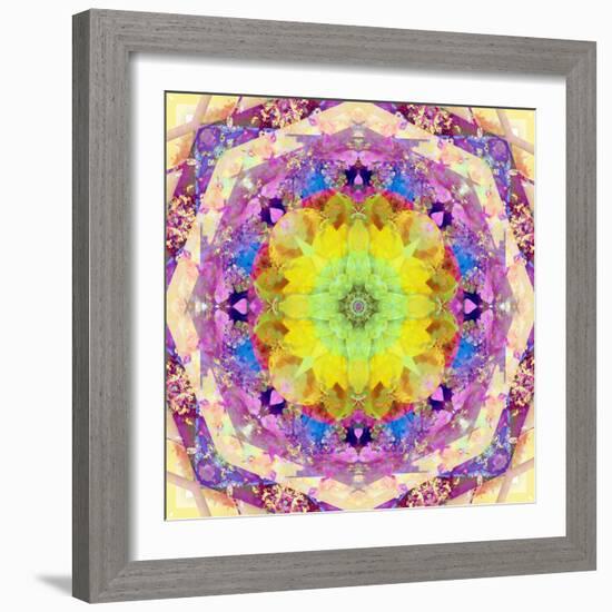 A Mandala from Flower Photographs-Alaya Gadeh-Framed Photographic Print