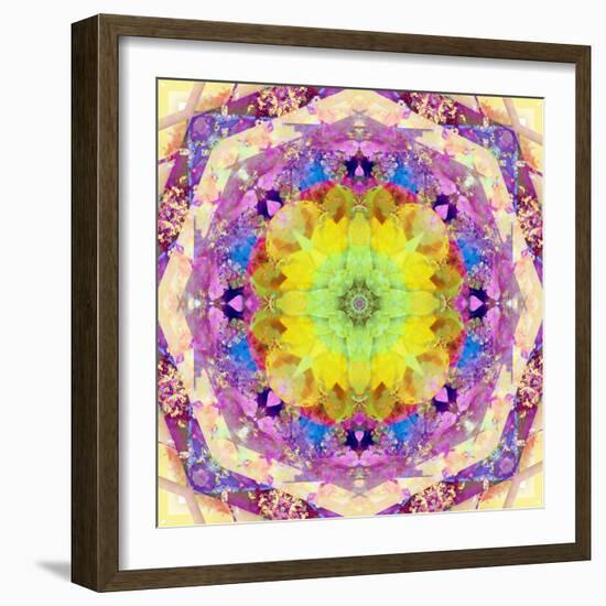 A Mandala from Flower Photographs-Alaya Gadeh-Framed Photographic Print