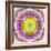 A Mandala from Flower Photographs-Alaya Gadeh-Framed Photographic Print