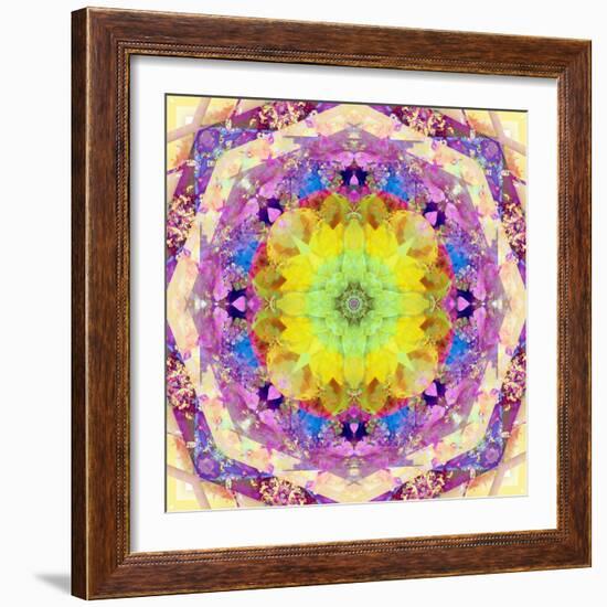 A Mandala from Flower Photographs-Alaya Gadeh-Framed Photographic Print