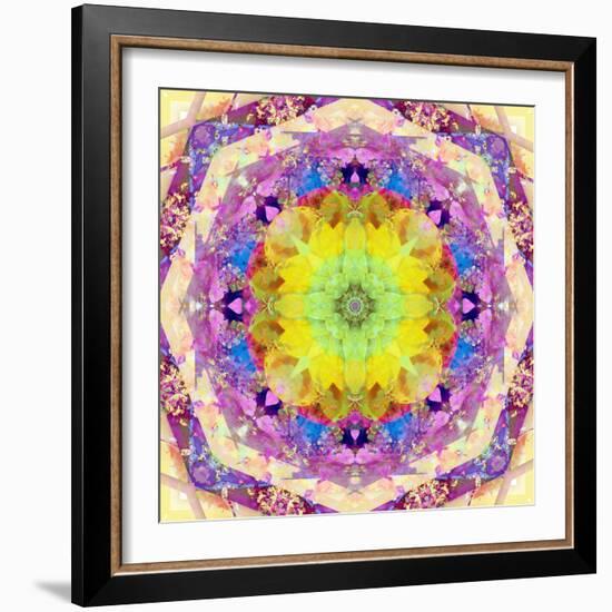 A Mandala from Flower Photographs-Alaya Gadeh-Framed Photographic Print