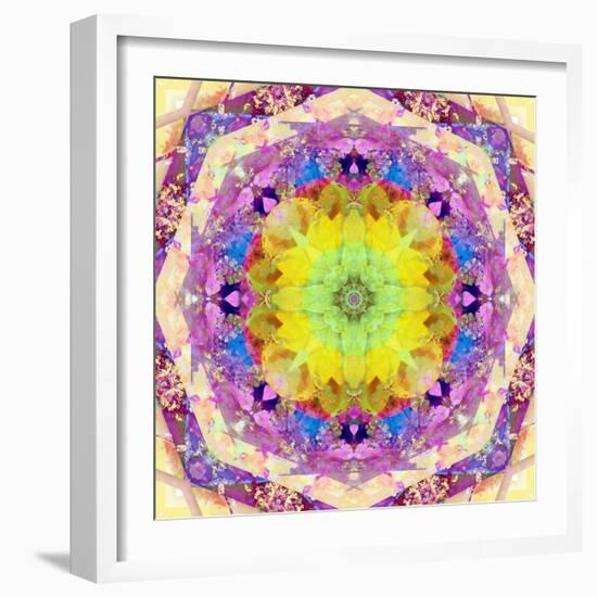 A Mandala from Flower Photographs-Alaya Gadeh-Framed Photographic Print