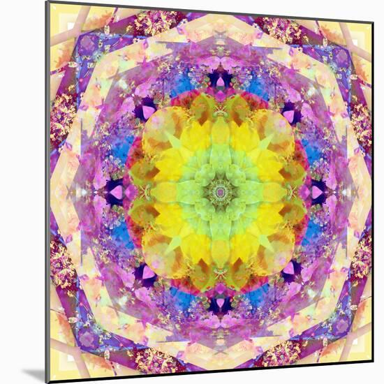 A Mandala from Flower Photographs-Alaya Gadeh-Mounted Photographic Print