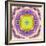 A Mandala from Flower Photographs-Alaya Gadeh-Framed Photographic Print