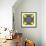 A Mandala from Flowers, and Ornaments-Alaya Gadeh-Framed Photographic Print displayed on a wall