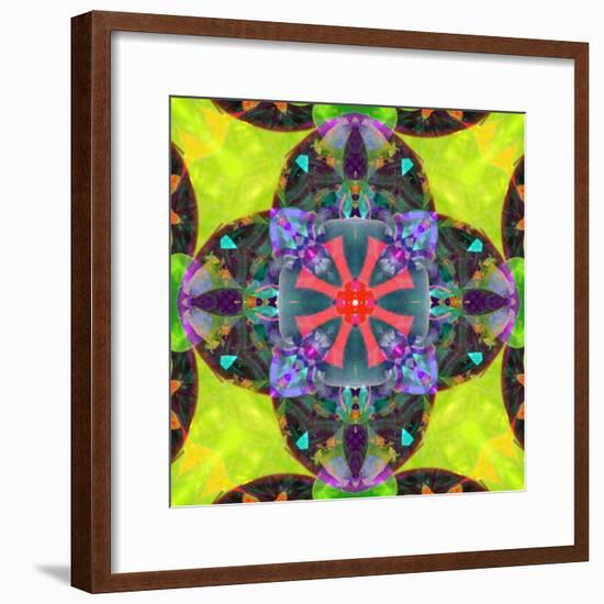 A Mandala from Flowers, and Ornaments-Alaya Gadeh-Framed Photographic Print