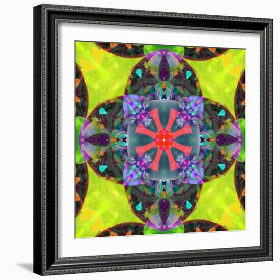 A Mandala from Flowers, and Ornaments-Alaya Gadeh-Framed Photographic Print