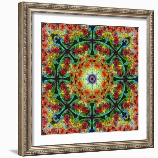 A Mandala from Flowers, Photograph, Many Layer Artwork-Alaya Gadeh-Framed Photographic Print