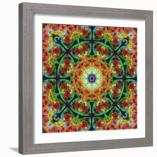 A Mandala from Flowers, Photograph, Many Layer Artwork-Alaya Gadeh-Framed Photographic Print