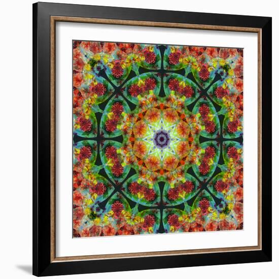 A Mandala from Flowers, Photograph, Many Layer Artwork-Alaya Gadeh-Framed Photographic Print