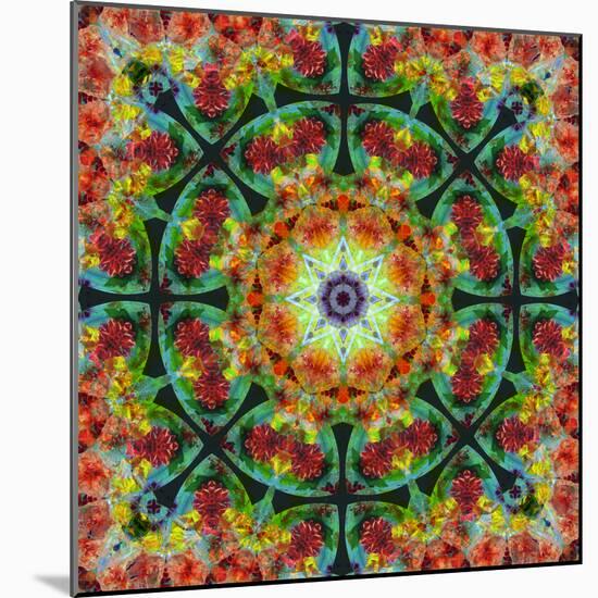 A Mandala from Flowers, Photograph, Many Layer Artwork-Alaya Gadeh-Mounted Photographic Print