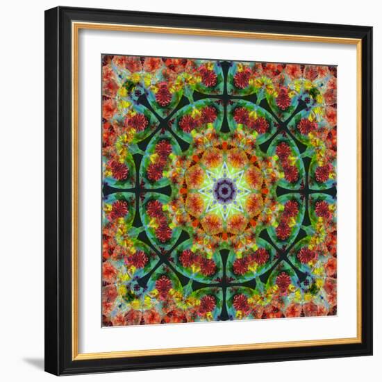 A Mandala from Flowers, Photograph, Many Layer Artwork-Alaya Gadeh-Framed Photographic Print