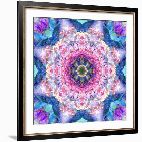 A Mandala from Flowers-Alaya Gadeh-Framed Photographic Print