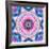 A Mandala from Flowers-Alaya Gadeh-Framed Photographic Print