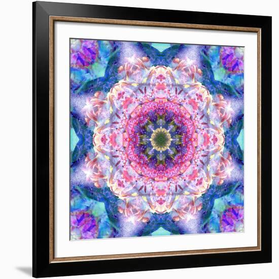 A Mandala from Flowers-Alaya Gadeh-Framed Photographic Print