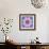 A Mandala from Flowers-Alaya Gadeh-Framed Photographic Print displayed on a wall