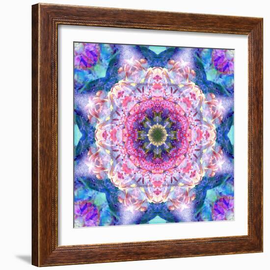 A Mandala from Flowers-Alaya Gadeh-Framed Photographic Print