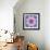 A Mandala from Flowers-Alaya Gadeh-Framed Photographic Print displayed on a wall