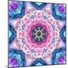 A Mandala from Flowers-Alaya Gadeh-Mounted Photographic Print