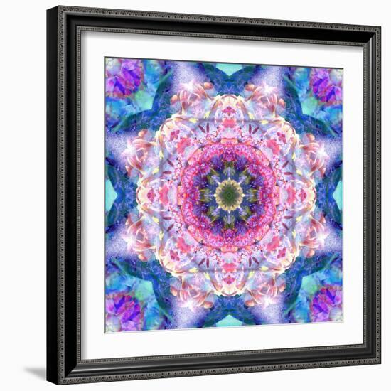 A Mandala from Flowers-Alaya Gadeh-Framed Photographic Print