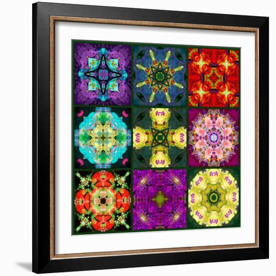 A Mandala from Flowers-Alaya Gadeh-Framed Photographic Print