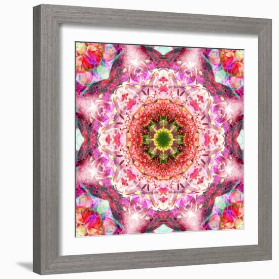 A Mandala from Flowers-Alaya Gadeh-Framed Photographic Print